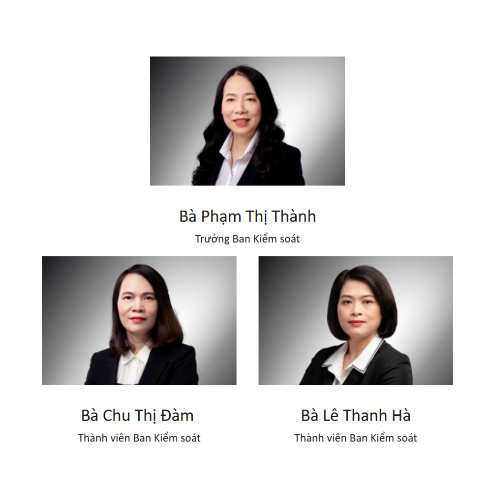 Ban kiểm soát